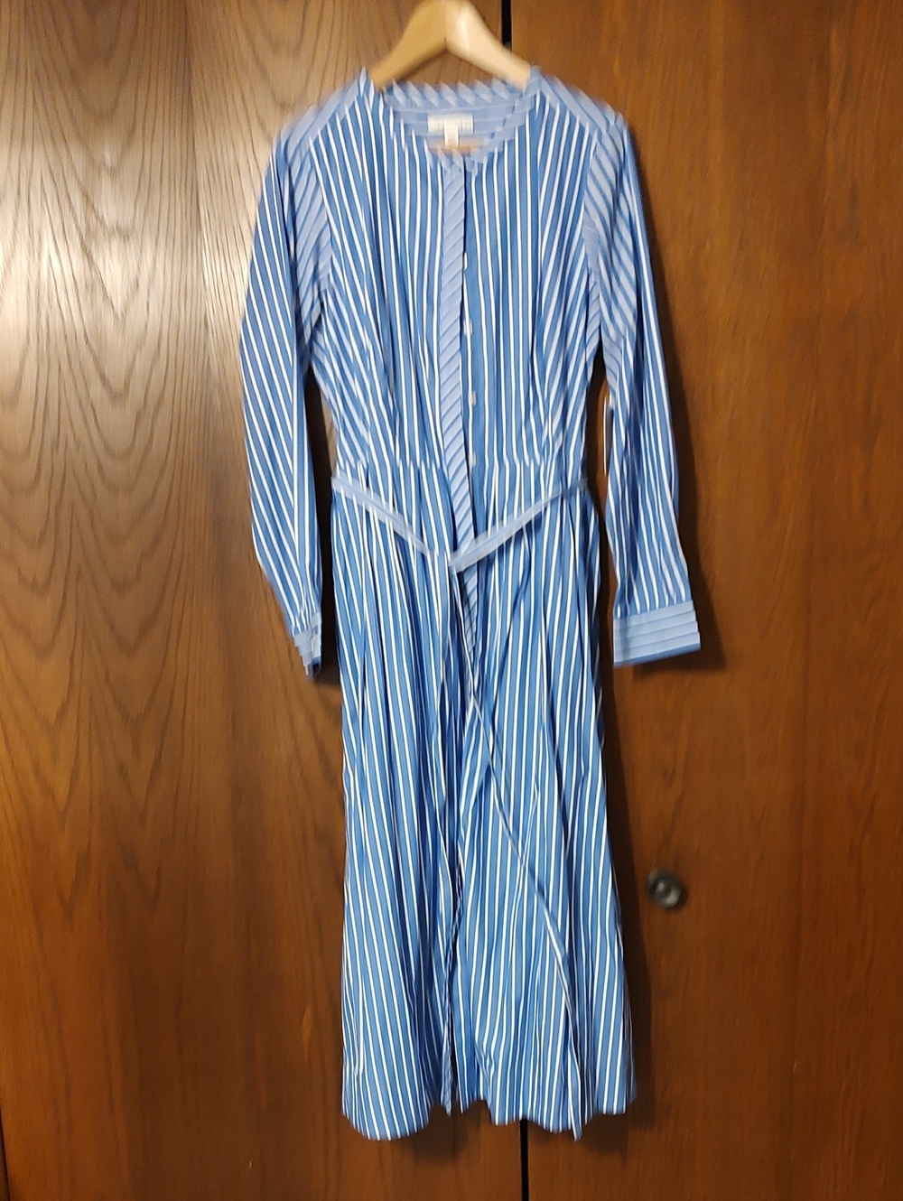 Free People Blue and White Long Sleeve Striped Maxi Dress
